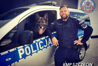 Karzeł uratował życie kobiecie. Policyjny pies ze Szczecina znów spisał się na medal!