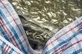 CBŚP zlikwidowało narkobiznes pseudokibica. Zobacz, co znaleźli!