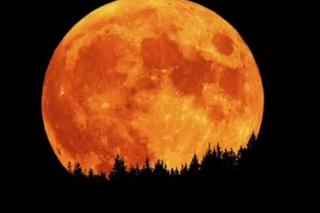 Zdjęcie księżyca z Moonlight Shadow Groove Coverage