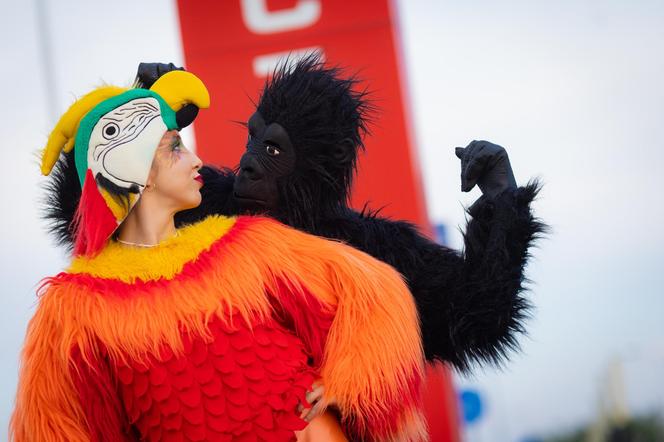 Nadchodzi Jungle Night w FACTORY Kraków. Rabaty sięgną nawet 50 procent!