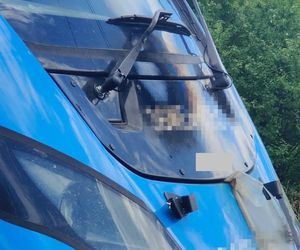 Tychy. Lokomotywa stanęła w płomieniach! Ewakuacja pasażerów