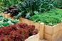 Skrzynia na warzywa do ogrodu - jak zrobić drewnianą skrzynię na warzywa?