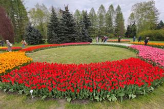 Gdzie na majówkę w Polsce 2024? 