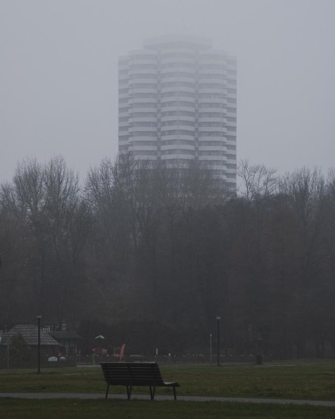 Kukurydze - zdjęcia katowickich bloków z Osiedla Tysiąclecia