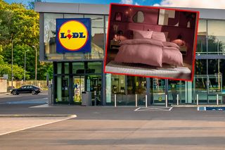 Zamień wnętrza w jesienny raj. Lidl  zaskakuje nową kolekcją