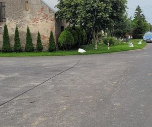 Skosił kombajnem… słupy telefoniczne. Policjanci z Gostynia ustalili sprawcę