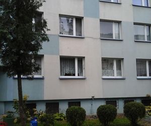 Bielsk Podlaski: Wybuch gazu na ul. Ogrodowej. Ewakuacja i akcja strażaków