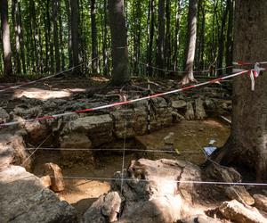 Wiekowe kamienie w Dąbrowie Górniczej