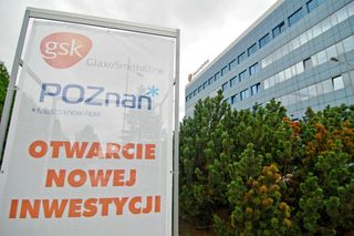 Zwolnienia grupowe w GSK. Winna sztuczna inteligencja! Tyle osób zostanie bez pracy