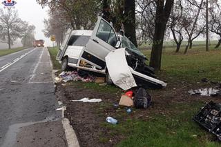 W wypadku w woj. lubelskim zginęło dwoje dorosłych i 6-letnie dziecko. Kierowca busa odpowie za spowodowanie katastrofy w ruchu drogowym