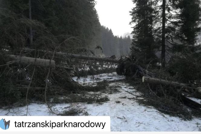 Halny sieje spustoszenie w Tatrach