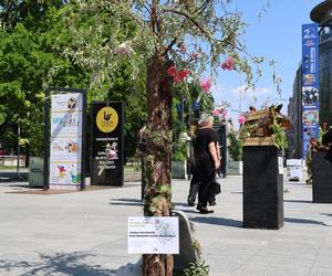 Weekend z florystyką w Lublinie. Zobacz imponujące roślinne instalacje w centrum miasta!