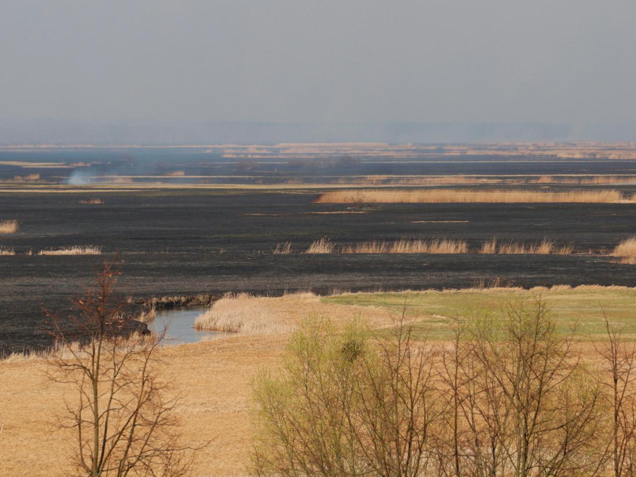 Biebrzański Park Narodowy nadal płonie