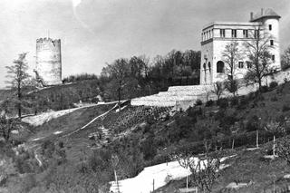 Słynne wille polski 