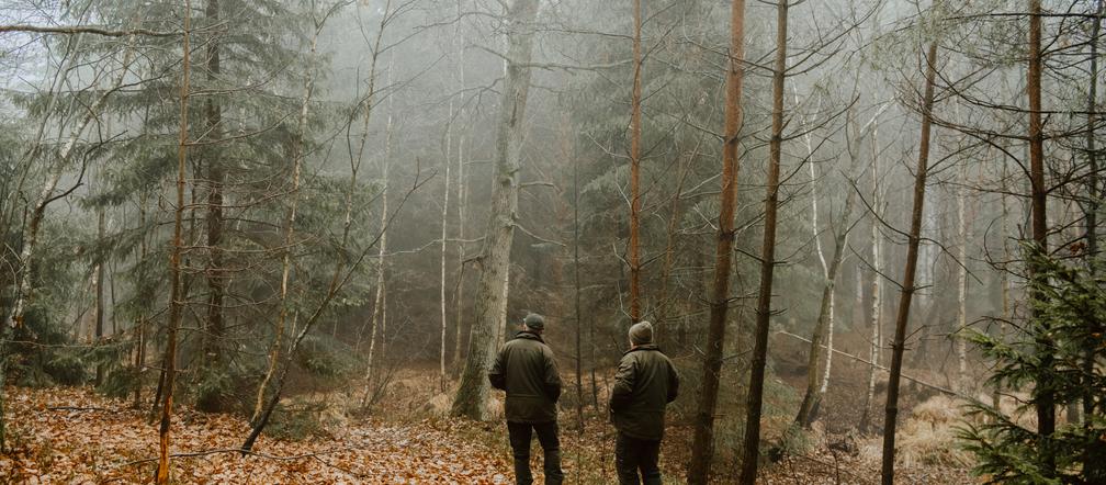 Przed Urzędem Marszałkowskim stanie dwudziestometrowa choinka