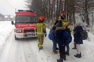 Bierówka. Autobus z 39 dziećmi wjechał do rowu [GALERIA]