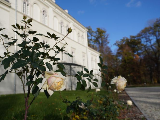 Pałac w Baranowicach jesienią