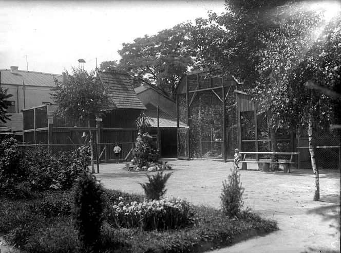 Zoo w Zamościu na starych zdjęciach