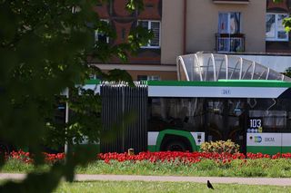 10. Powrót nocnej komunikacji miejskiej