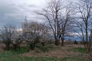 Wały nad Widawą we Wrocławiu. Idealne miejsce na wiosenny spacer we Wrocławiu. Tutaj zapomnisz o pracy