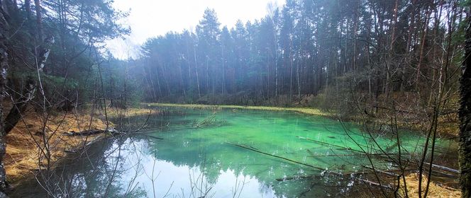 Najpiękniejsze rezerwaty w woj. śląskim