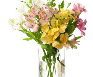 Kwiaty do wazonu