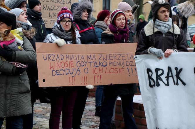 Oni mówią głosem zwierząt! Tak wygladał marsz w obronie zwierząt z Toruńskiego Schroniska [GALERIA, AUDIO]