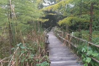 Arboretum Bolestraszyce