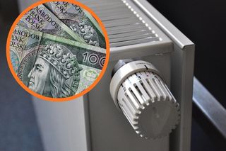 Można dostać nawet 1750 zł od rządu. Ruszył właśnie nabór wniosków