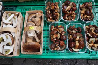 Grzyby na halach targowych w Gdyni