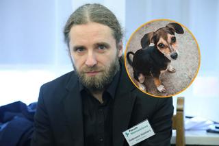 Popierał jedzenie psów, teraz jest poza Sejmem. Wyborcza porażka Dobromira Sośnierza