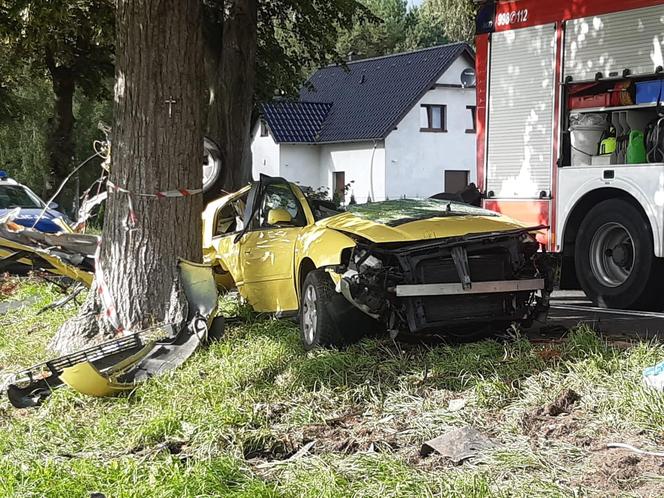 Śmiertelny wypadek pod Świebodzinem. Auto 37- i 32-latka zostało rozerwane na strzępy [ZDJĘCIA].