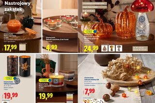 Jesienne promocje w Lidlu