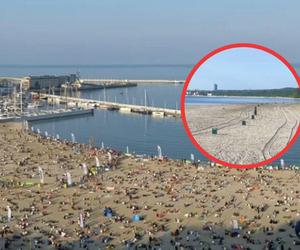 Tony śmieci na plażach. Czy można zmienić smutną polską rzeczywistość