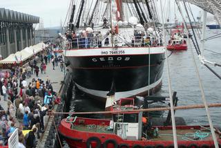 Sedov