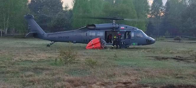 Ogromny pożar pod Grójcem! Spłonęło 80 hektarów lasu