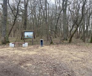 Zmiany w Parku Odrzańskim w Zielonej Górze. Zobacz jak wygląda obecnie