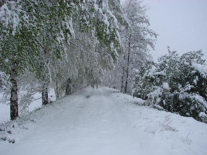 Chełmsko Śląskie - śnieg w maju