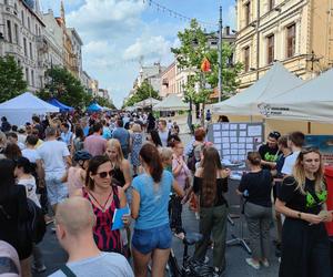 Drugi dzień Łódź Summer Festival. Uczestnicy bawili się w rytmie wielkich hitów 