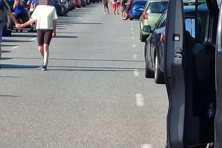 Pożar samochodu na A1. Kierowcy wyszli z aut na jezdnię