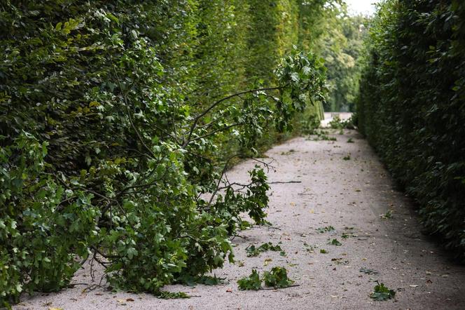 Park wilanowski zamknięty po burzy w Warszawie