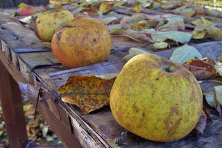 Ulica Jęczmienna w Białymstoku [ZDJĘCIE DNIA]
