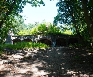Las Arkoński