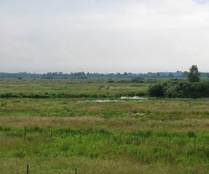 Bagno Całowanie