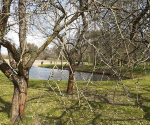 Łódzki Ogród Botaniczny obchodzi 50-lecie. To miejsce rozkwita i czeka na gości