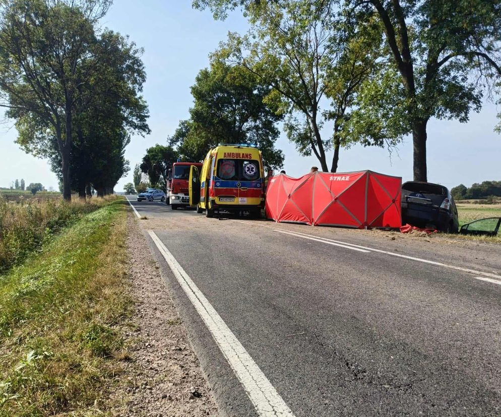 śmiertelny wypadek na DK19 w Ostromęczynie