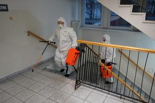 Terytorialsi zdezynfekowali budynek Starostwa Powiatowego w Braniewie