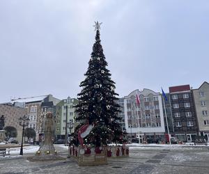 W centrum Gorzowa stanęła choinka! Jak wygląda?