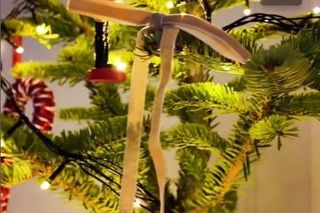 Rzeźniczakowie już świętują. W sieci pokazali ogromną choinkę