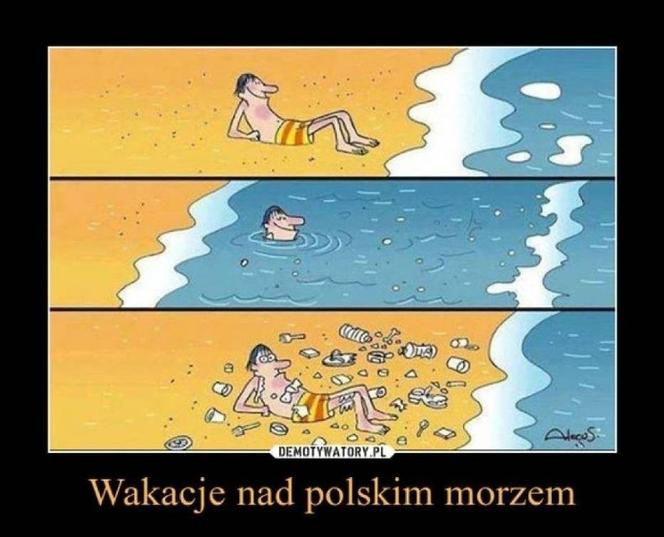 Wakacje rozpoczęte! Polacy ruszyli na plaże! Zobacz najlepsze MEMY!